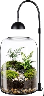Glass Plant Terrarium with LED Grow Light & Adjustable Ventilation, 8.2