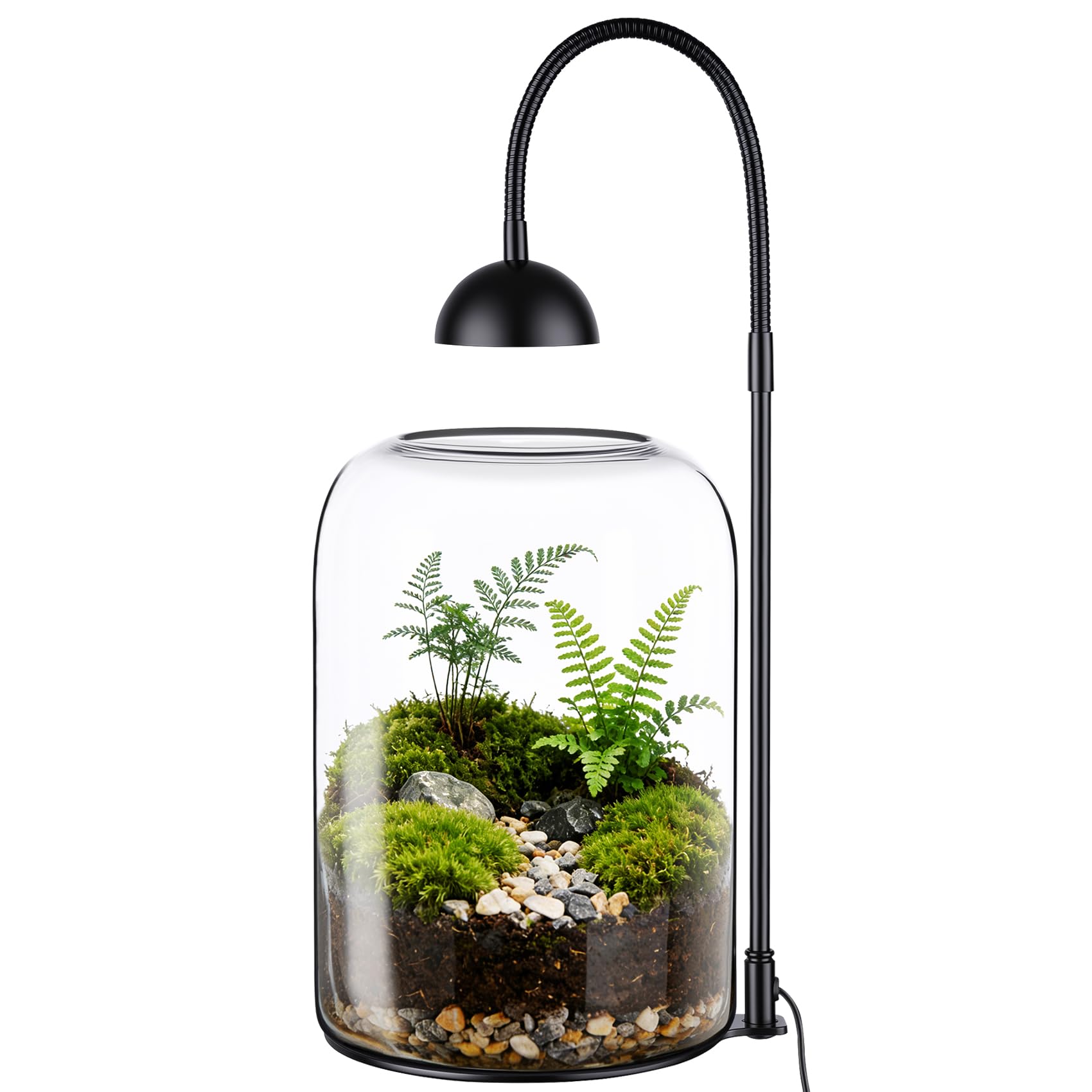 modern plant pots indoor Modern Elevated Planter and Plant Stand Set