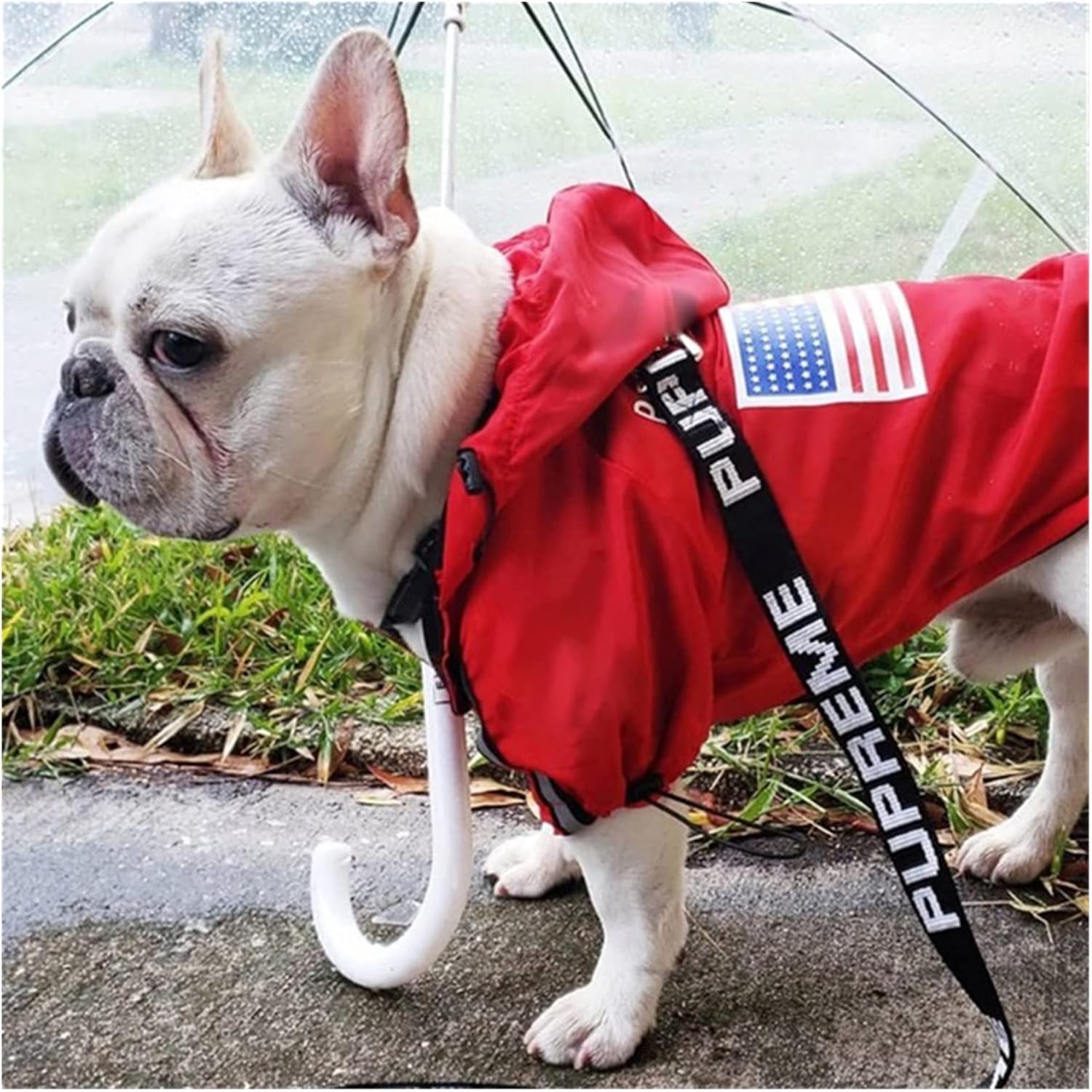 dog's clothes Dog Clothes Raincoat For 