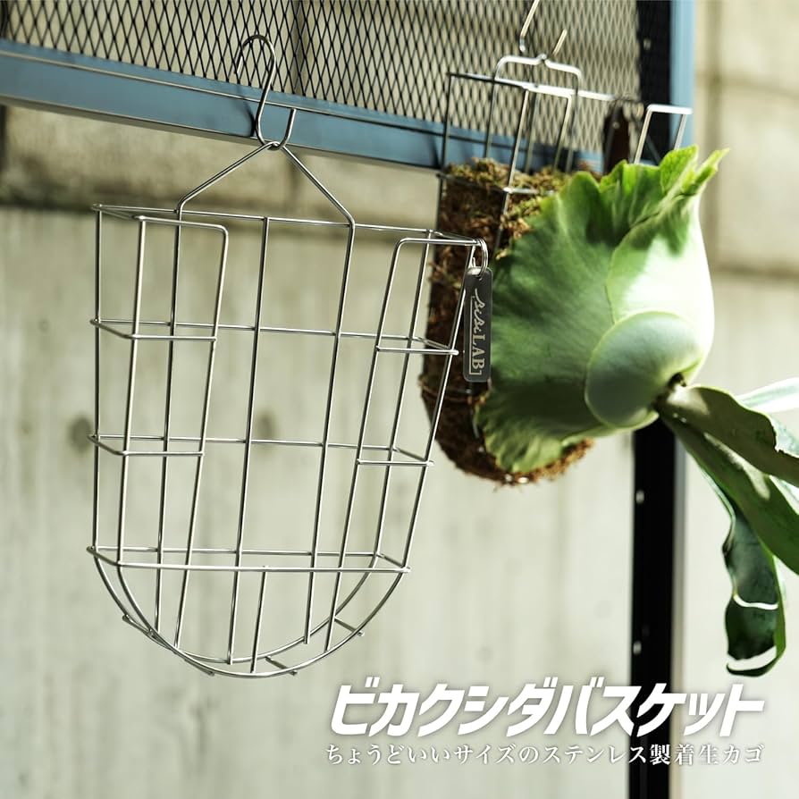 Amazon.co.jp: BIBILAB(ビビラボ) ビカクシダバスケット 3個セット Amazon.co.jp: BIBILAB(ビビラボ) ビカクシダバスケット 3個セット