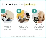 Ver la foto 6