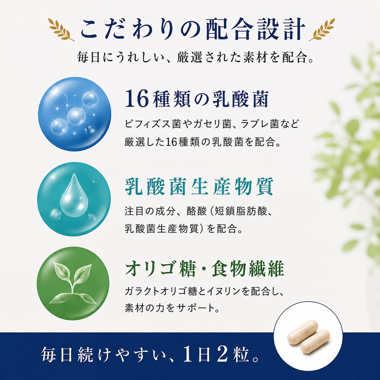 Amazon | 【16種類3兆個 の 生きた乳酸菌】 乳酸菌 革命 サプリ