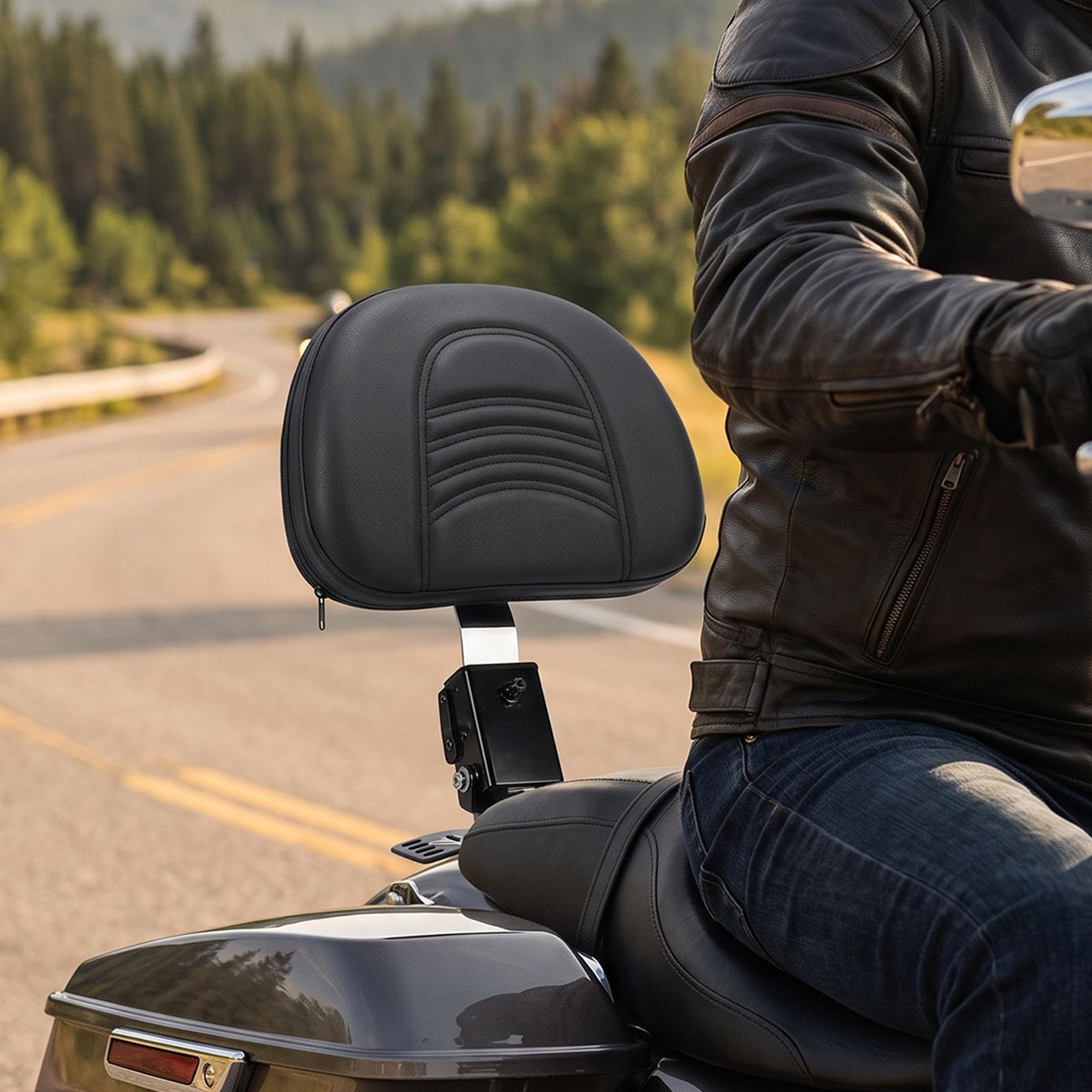 AMONIDA Zdejmowane Oparcie Kierowcy Comfort do Touringu Electra Glide CVO 1997-2024 Regulowane, Czarna Stal, 1 Sztuka