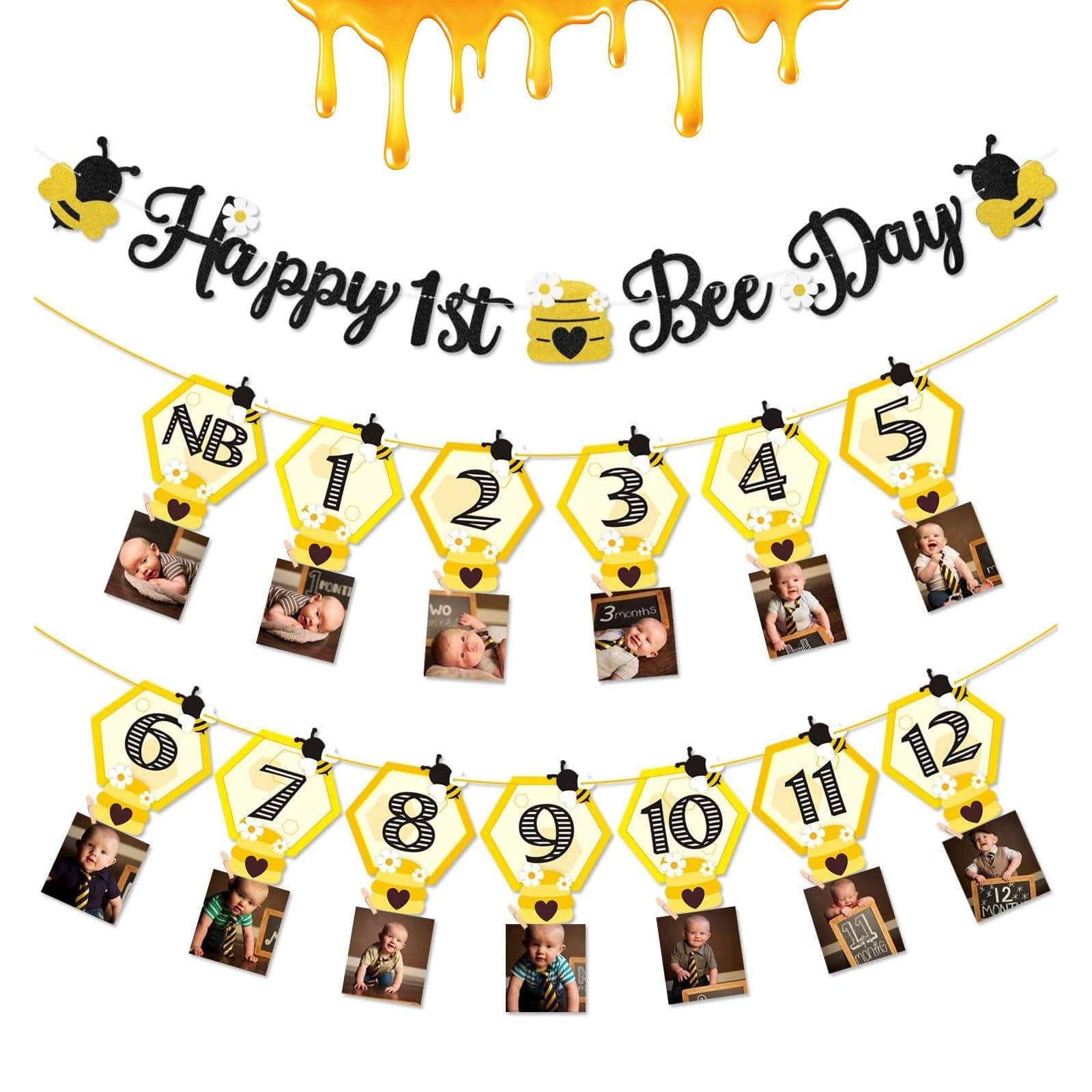 3PCS Happy Bee Day Party Decorations, Bumble Honey Bee 1st Birthday Baby Photo Banner for Newborn to 12 Months, Monthly Milestone Photograph Bunting Garland, First Birthday Celebration Decorations