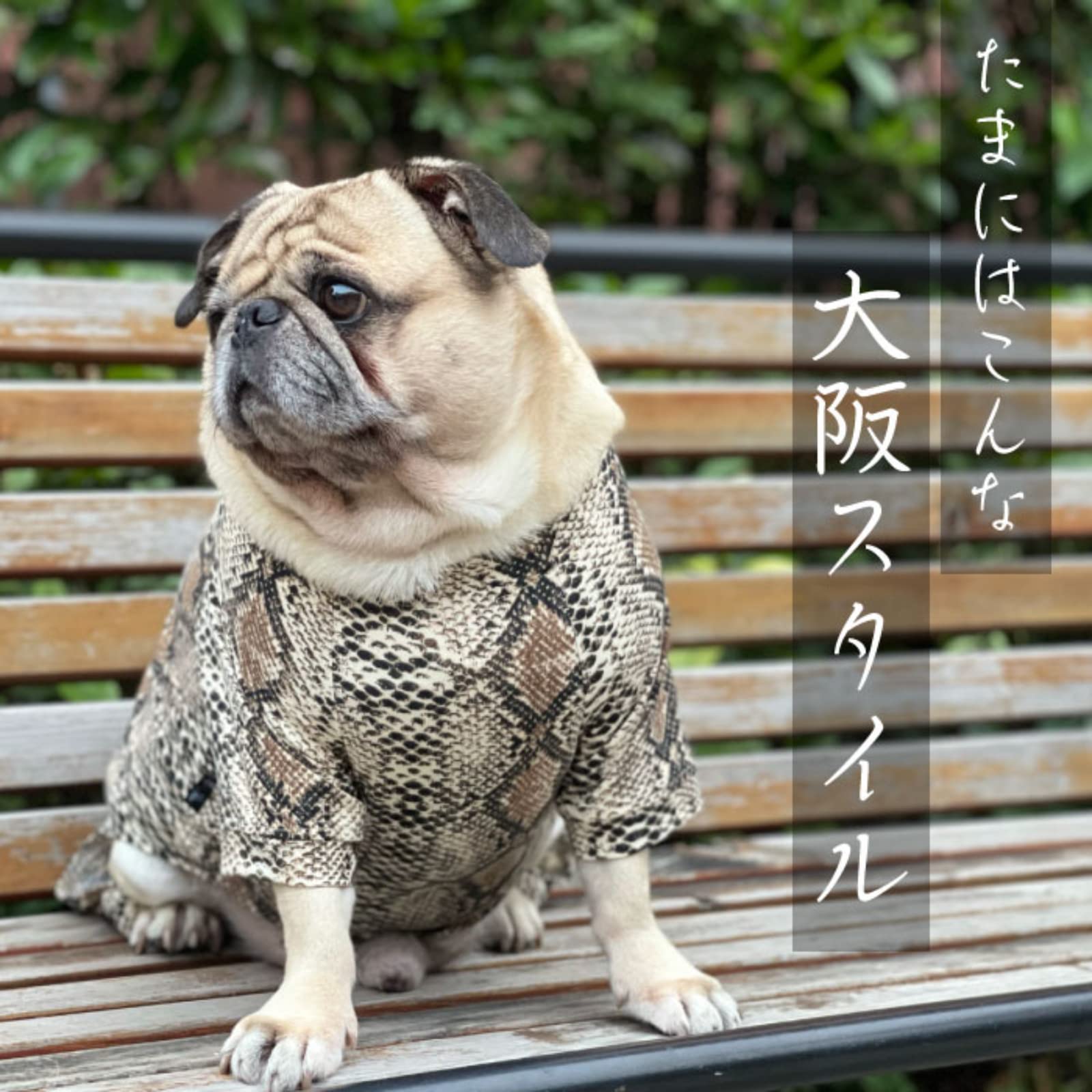 Amazon.co.jp: フレンチブルドッグ ペット おもしろ 犬 服 ロンパース