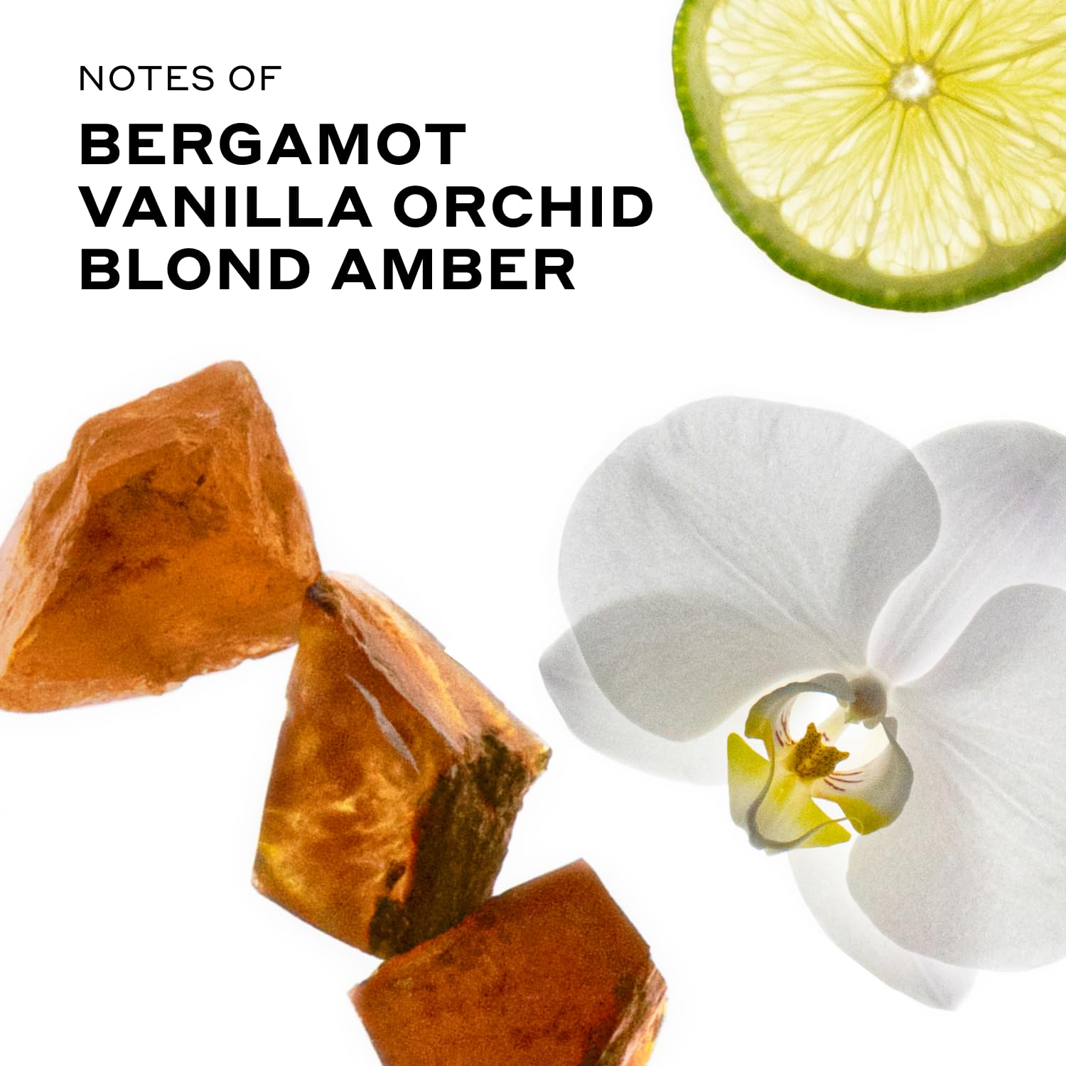 Ellis Brooklyn Blond Musk Perfume Oil Roll-On for Women – Clean White Musk Scent – Bergamot, Violet Petal, Waterlily, Rose & Vanilla Orchid – Long Lasting Fragrance, Travel-Friendly Rollerball, 15ml - Image 3