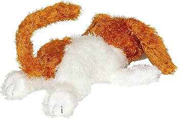 71bYRF1SdZL._AC_UF350,