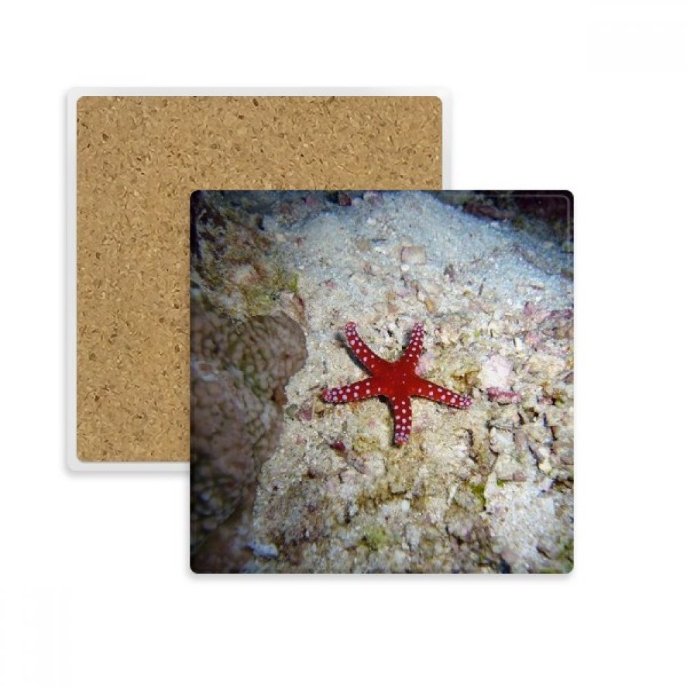 Cadeau de Boissons Coaster Carrée l'eau de mer pour Vos Proches