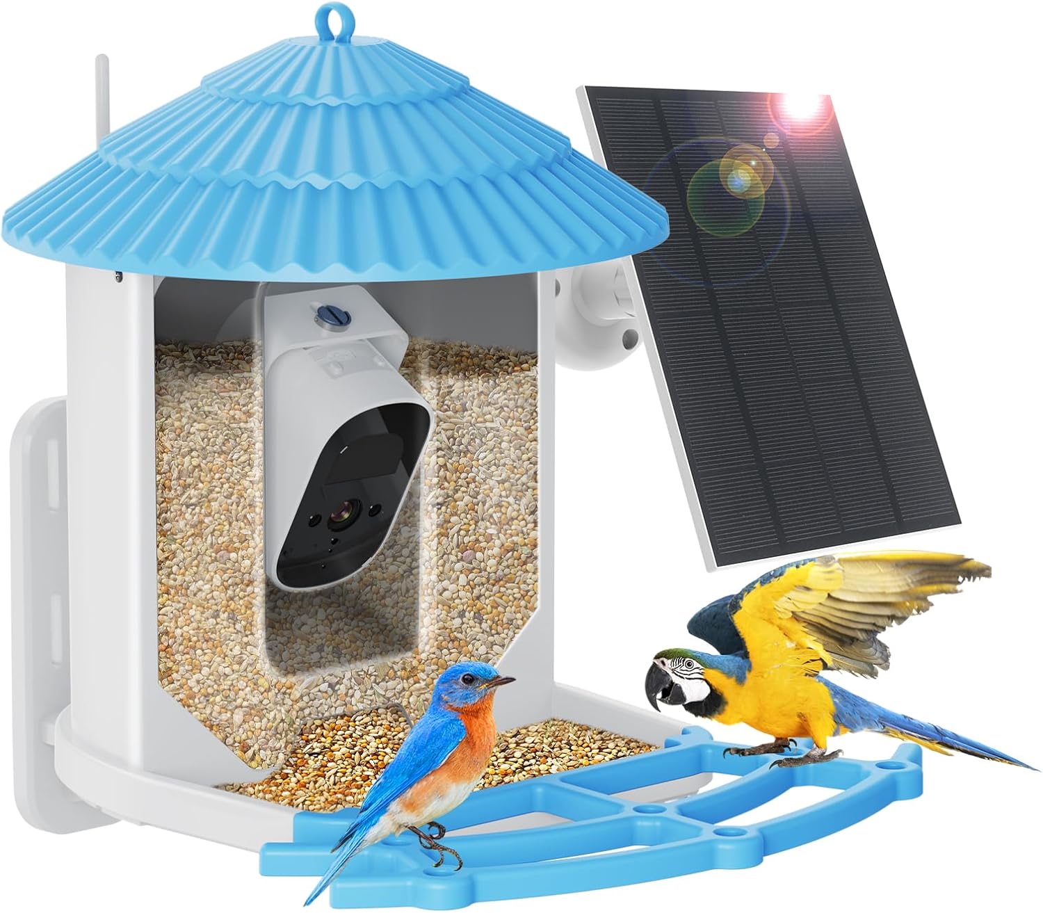 Ardroit Smart Bird Feeder 1080P HD Camera, Solar Powered