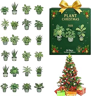 Calendrier de l'Avent en acrylique 2D, décoration d'arbre de Noël à planter sur 24 jours, pour les amateurs de jardinage, décoration murale et hivernale