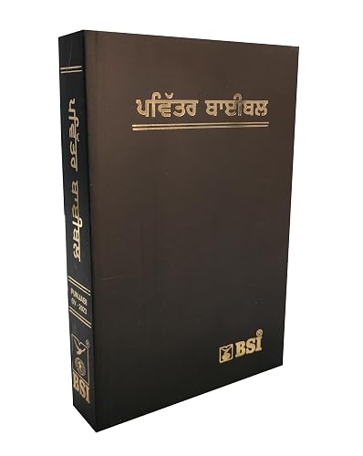 Holy Bible Punjabi (O.V. 2023) Semi Compact Containing Old and New Testament BSI
