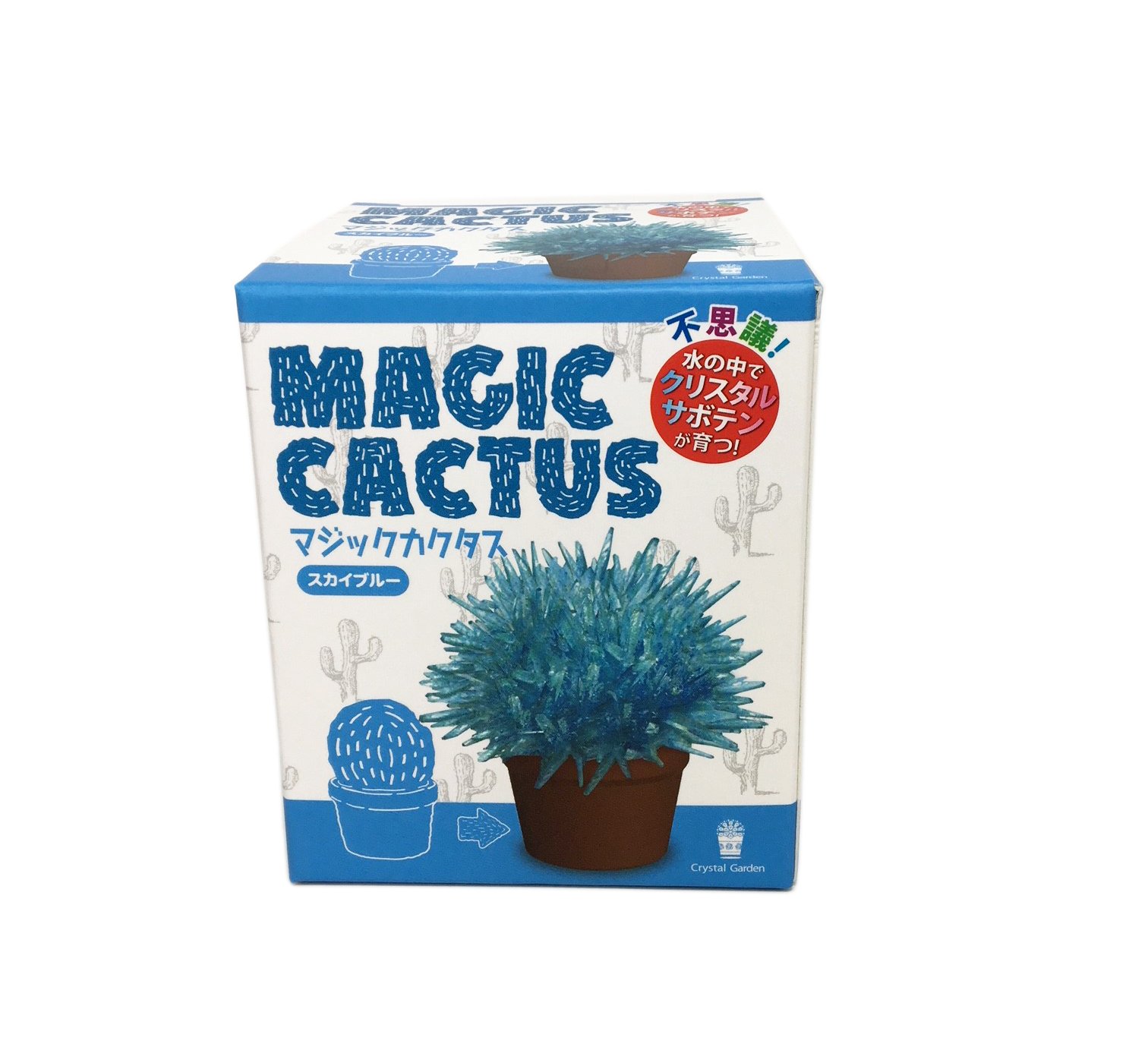 Amazon | 不思議 水の中で 1日でクリスタル サボテンが育つ マジック