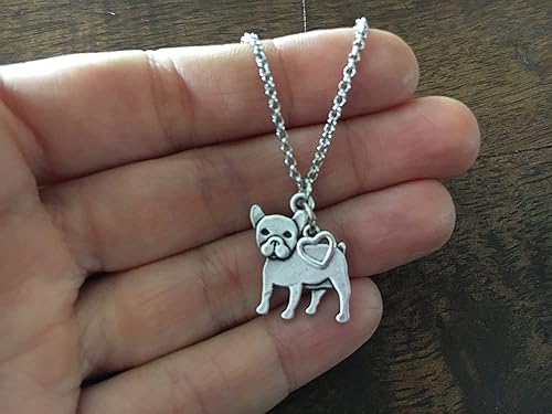 Miniatura 5 de Collar de raza de perro Grupo A