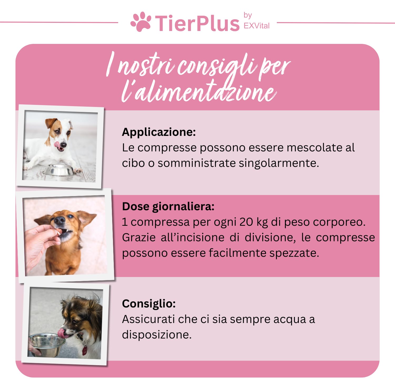 TierPlus Pelo Splendido – Complesso di Biotina ad Alto Dosaggio per Cani, contro la caduta del pelo, il prurito e la pelle secca – per un mantello lucente e una pelle sana, 120 compresse