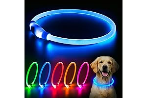 HiGuard USB Rechargeable LED Necklaces: Illuminate Your Safety