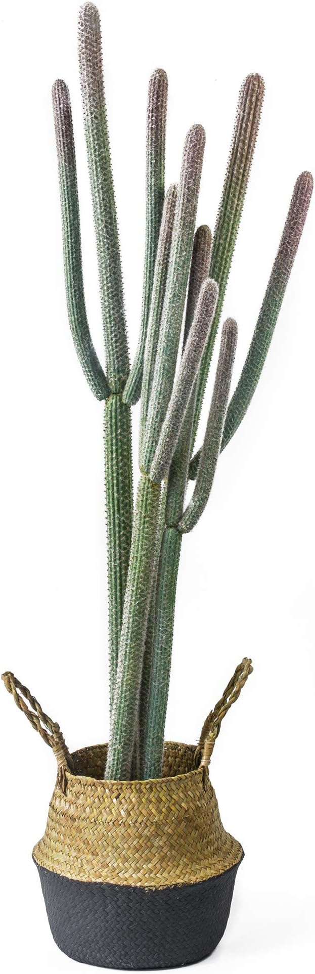 NCYP 4ft (48 Inch) Tall Artificial Cactus in Plastic Planter with Seagrass Basket - Faux Small Saguaro Cacti Potted for Home, Room, Office, Indoor Farmhouse Floor Decor, Fake Plants