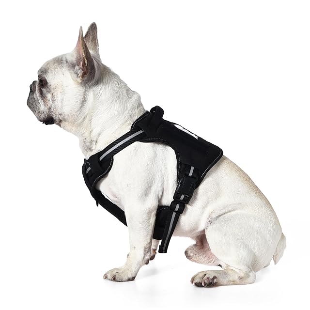 Foto 2 de 6 de Amazon Basics Arnés para perro con diseño sin tirones, clip frontal, chaleco, pequeño, Color negro
