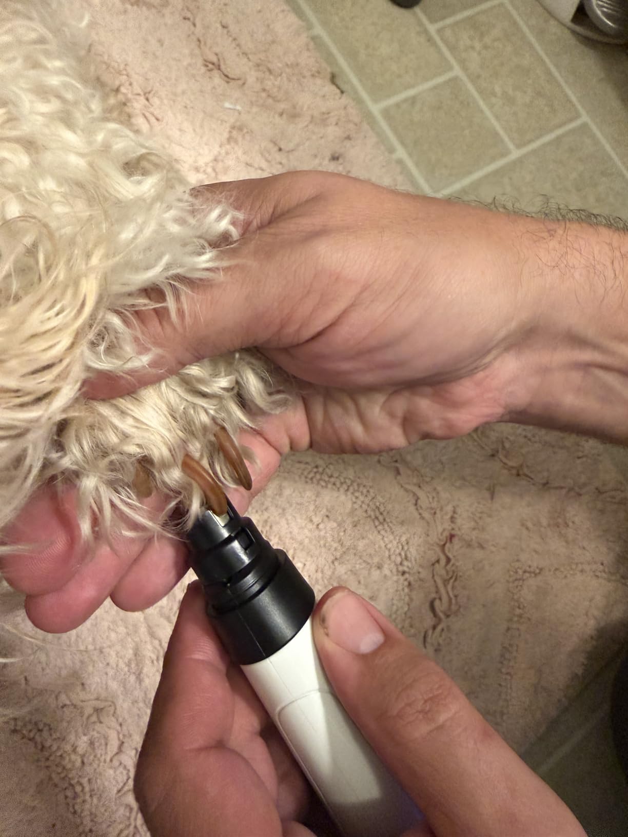 3-Speed Quiet Electric Pet Nail Grinder, 2 LED, 2000mAh Rechargeable, All Dogs & Cats photo review