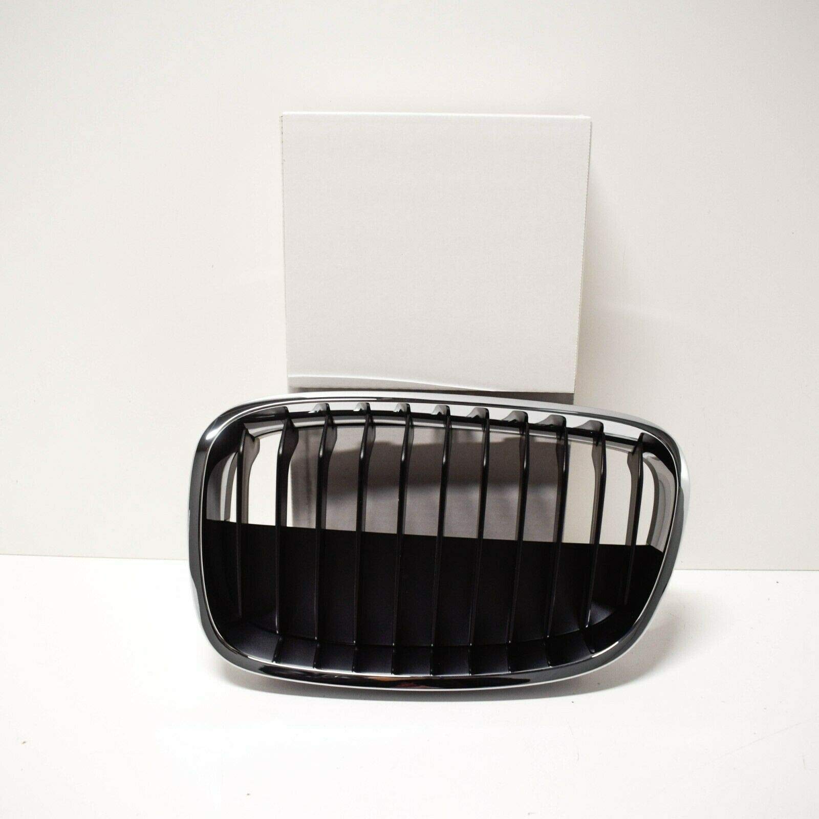 GTV INVESTMENT 1 F20 Kühler vorne links Nierengrill 51137324389 
