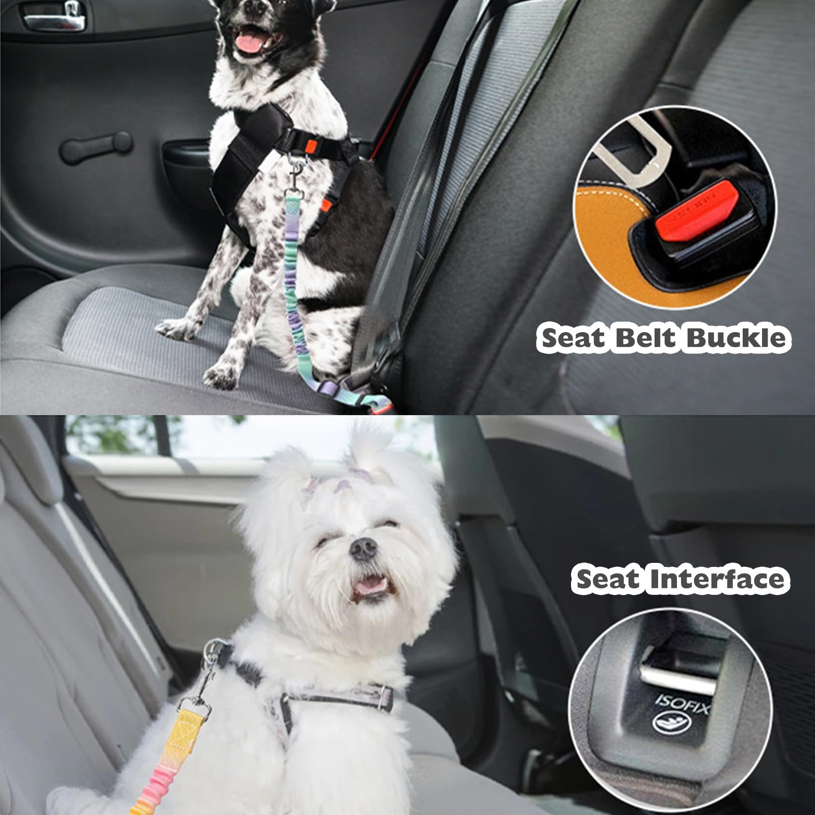 2 Pièces Ceinture Chien Voiture, Réglable Ceinture Securite Chien Voiture, Élastique Attache Chiens Voitures, Couleur Dégradée Laisse Voitures pour Chiens