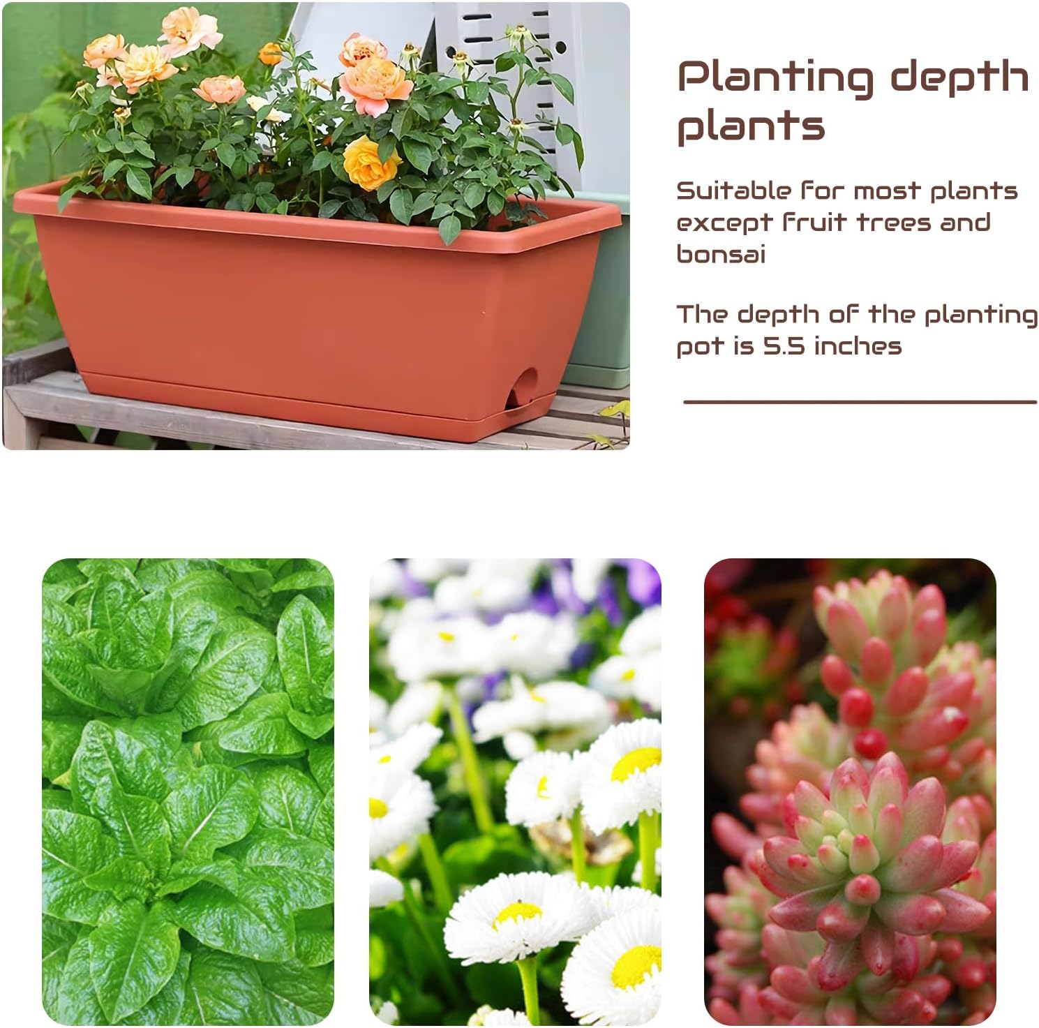 QPEY Window Box Planter, 10 Pack 17 Inch Plastic Flower Box with Tray Rectangular Planters for Outdoor Indoor Plants Garden Home Decor (red)