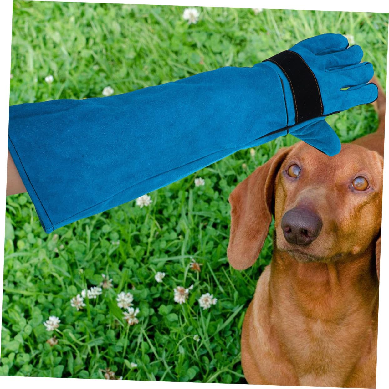 BESPORTBLE Protection Anti-Morsure pour Animaux de Manipulation Toilettage pour Chiens et Chats Manchons de Travail Similicuir