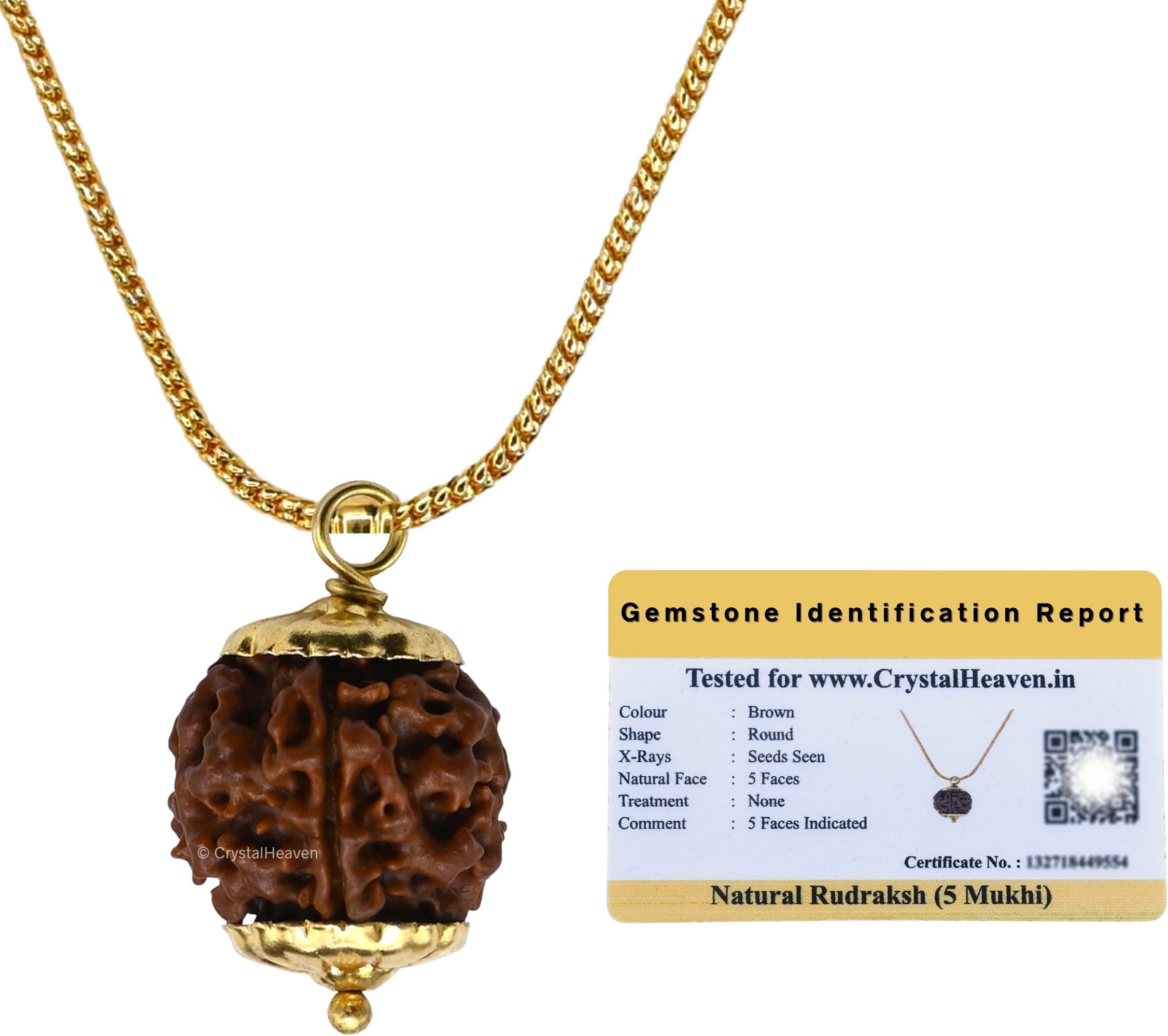Crystal Heaven Rudraksha Original 5 Mukhi Pendant Necklace for Women Men | Certified Rudraksha with Velvet Pouch (Gold)