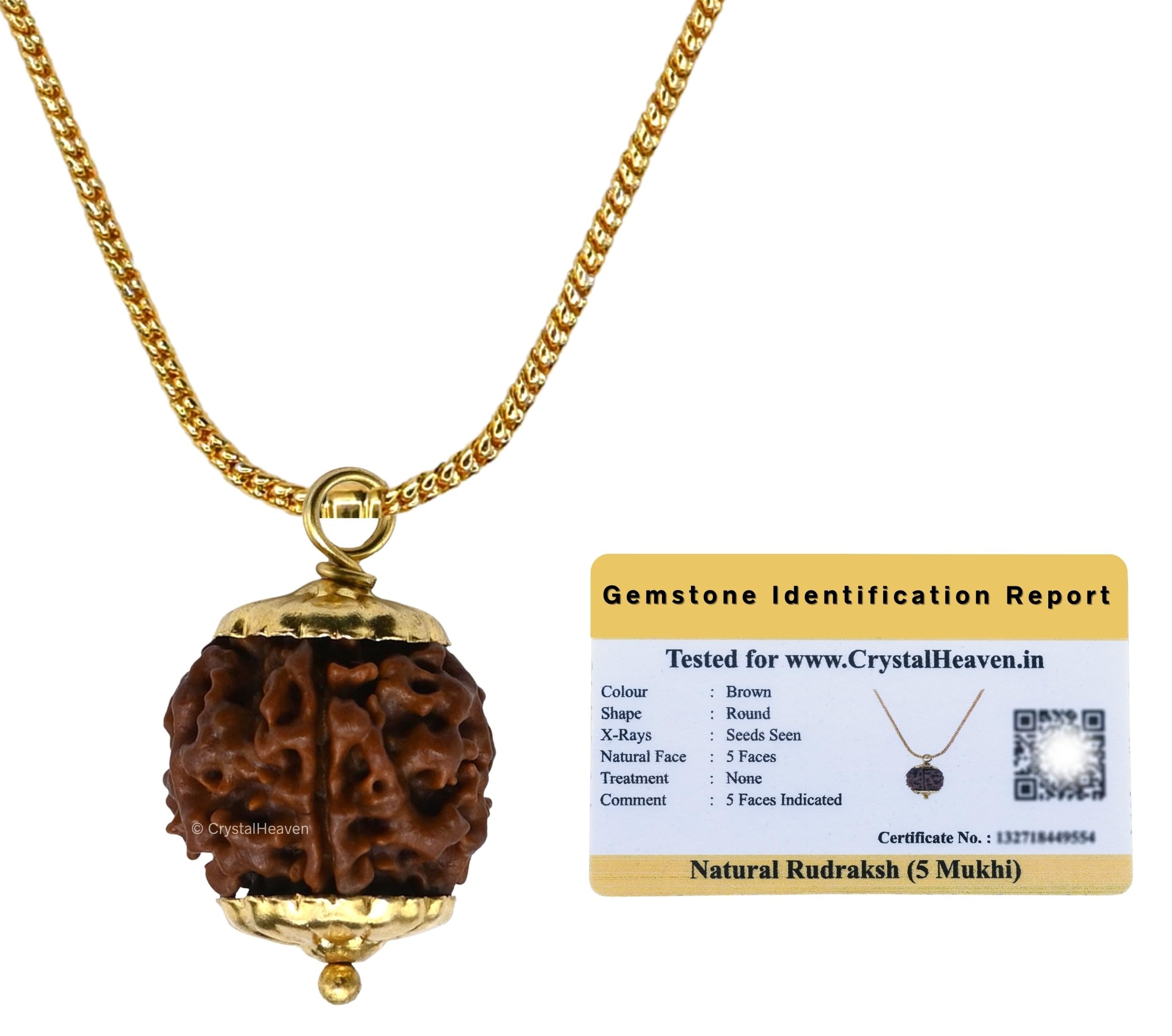 Crystal Heaven Rudraksha Original 5 Mukhi Pendant Necklace for Women Men | Certified Rudraksha with Velvet Pouch (Gold)