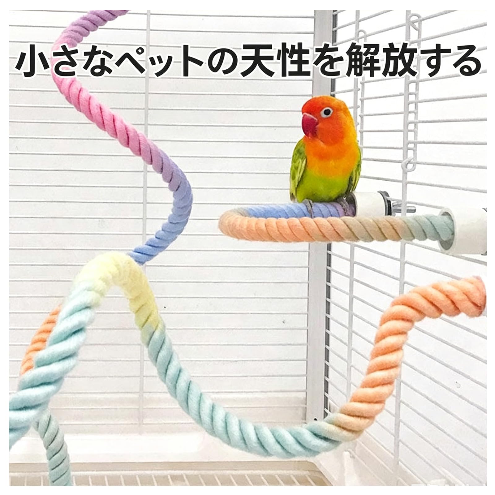 Amazon | 鳥かご用ロープ止まり木 2 本セット【40cm・80cm 各 1 本】麻