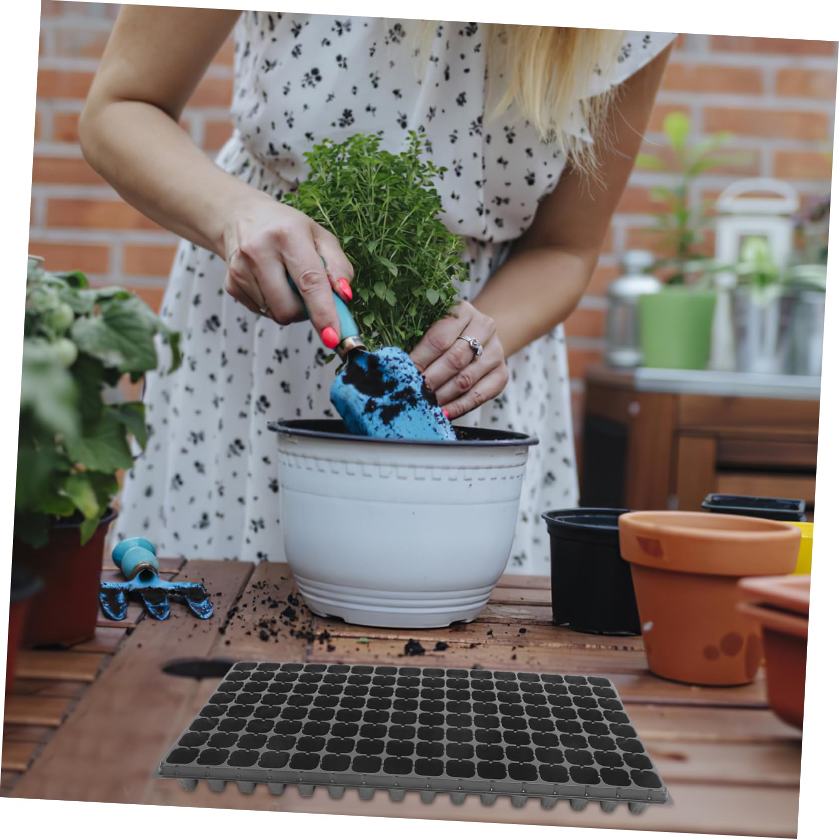 Yardwe Plaque à Semis 128 Alvéoles en PVC, Lot de 10, Plateau Germoir Rigide Noir pour Jardinage à Domicile, Ventilation Optimale