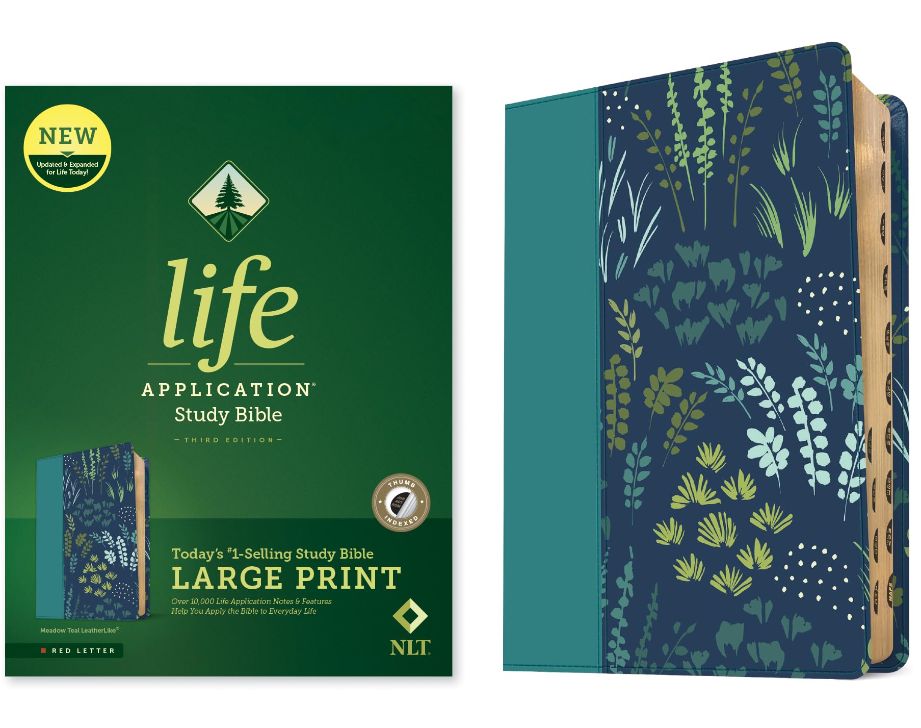 NLT Life Application Study Bible, Third Edition, Large Print