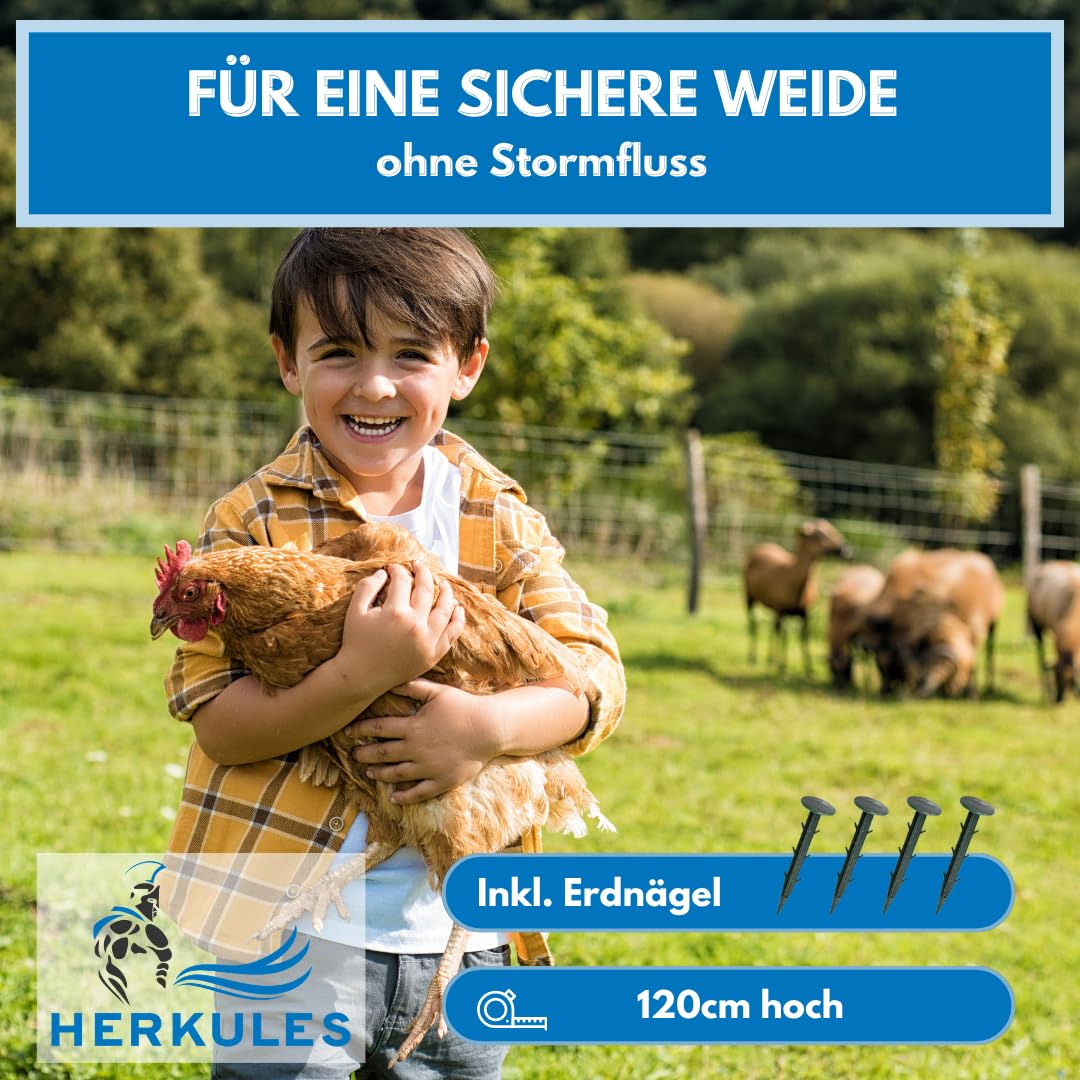 Herkules Geflügelnetz 50m x 120cm - Mobiler Geflügelzaun für Hühner - Stromloser Hühnerzaun mit engmaschigen und reißfesten Litzen - Geflügel Zaun inkl. 14 Weidezaunpfählen mit Doppelspitze