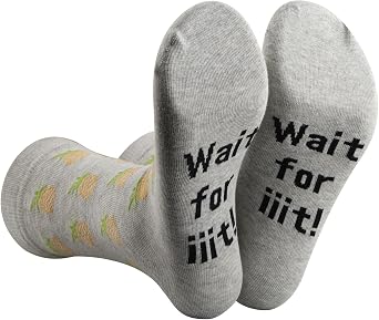 2 Pairs Tv Show Inspired Socks TV Show Merch Pineapple Lovers Gift Wait for Iiit Socks for TV Show Fans
