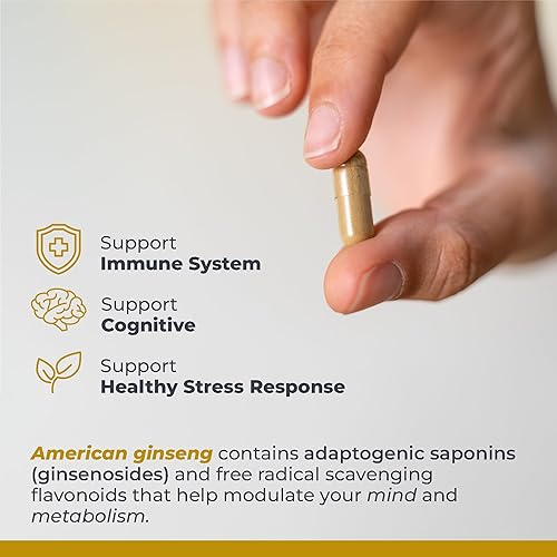 Miniatura 4 de Premier Research Labs Suplemento de ginseng americano  Cápsulas de ginseng americano, píldoras de raíz de ginseng a base de hierbas, extracto de