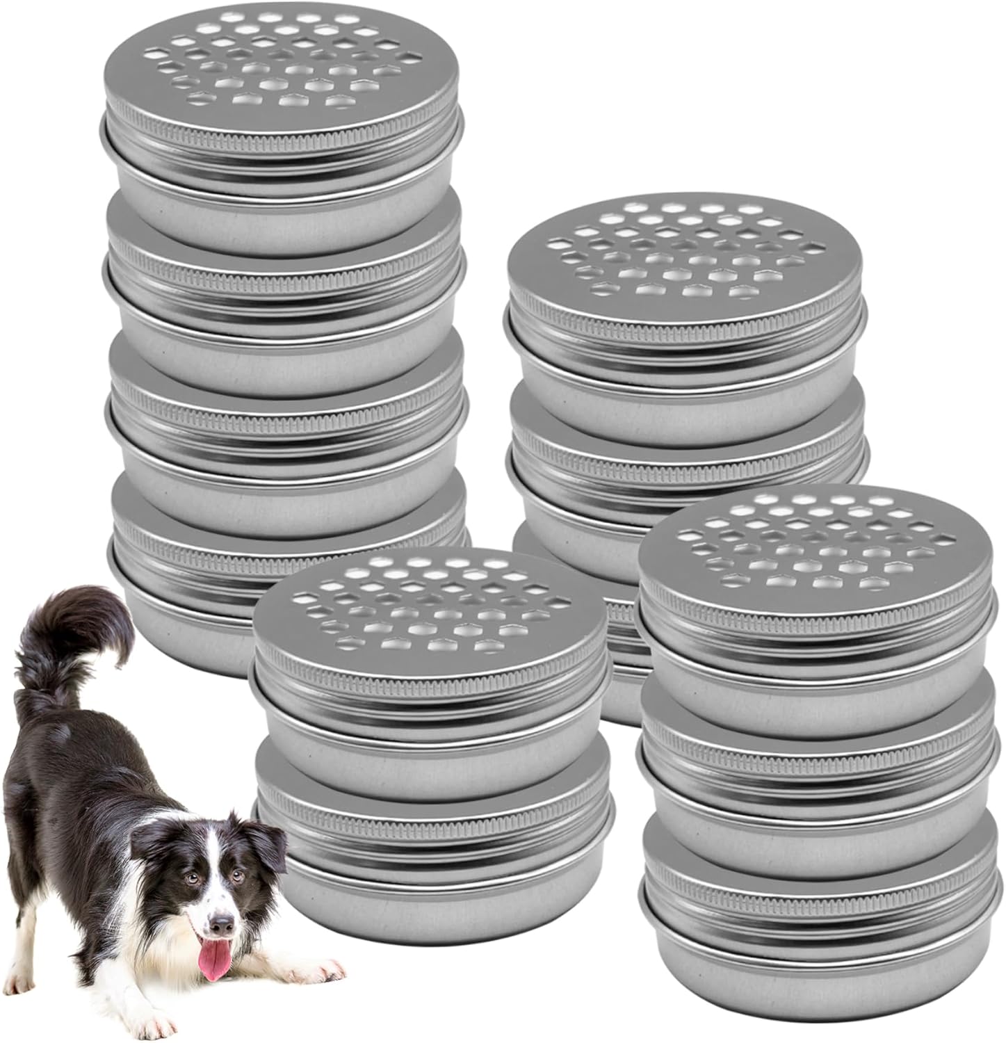 NewGtuizi 12 Pack Dog Scent Work Tins, Dog Scent Training