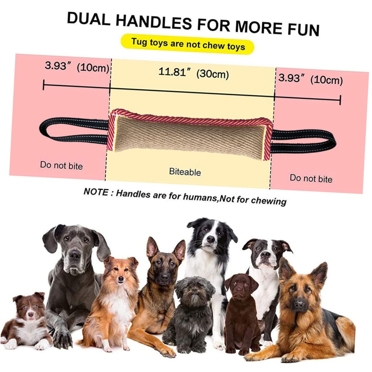 Sosoport 2pezzi Giocattolo Interattivo Per Cani Molar Morsetto Per Addestramento e Masticazione Resistente e Sicuro Per Allenamenti All Aperto e Giochi Di Masticazione Per Pet Dog