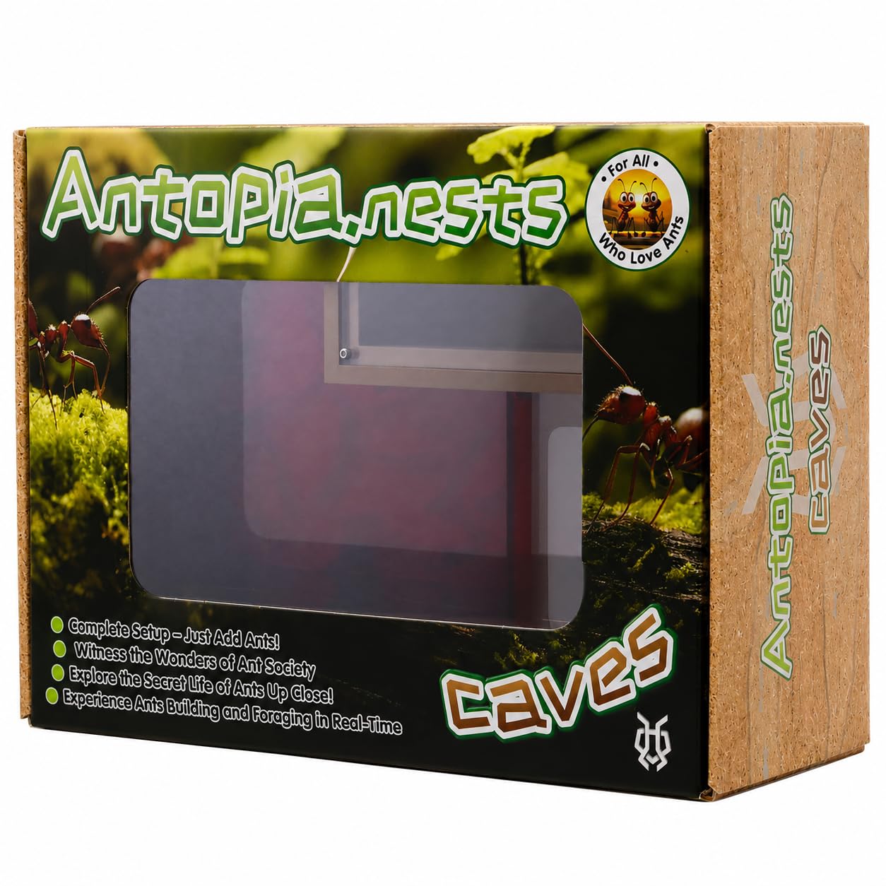 Ant Farm & Nid avec système de grotte - Un formicarium et un habitat pour vos fourmis - Avec système d'humidité - Idéal pour les amateurs de fourmis - Version effet roche