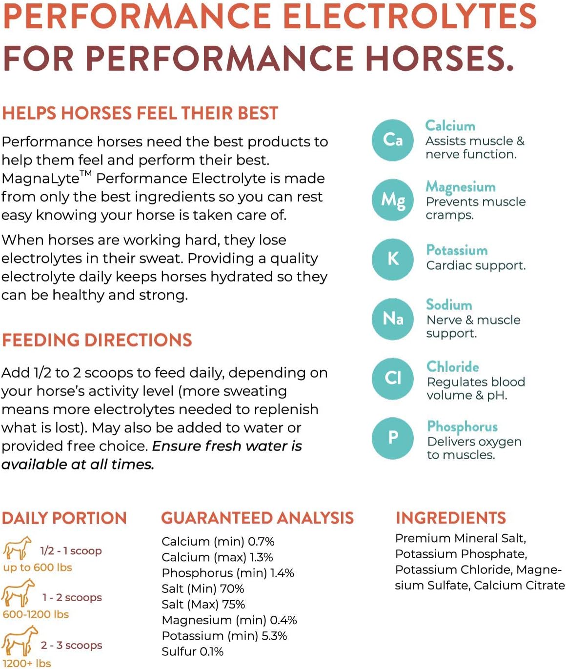 MagnaLyte Loose Salt and Electrolytes for Horses by Eagle Equine | Mineral sea Salt, Trace Minerals, Electrolytes | 20 Pound Bucket