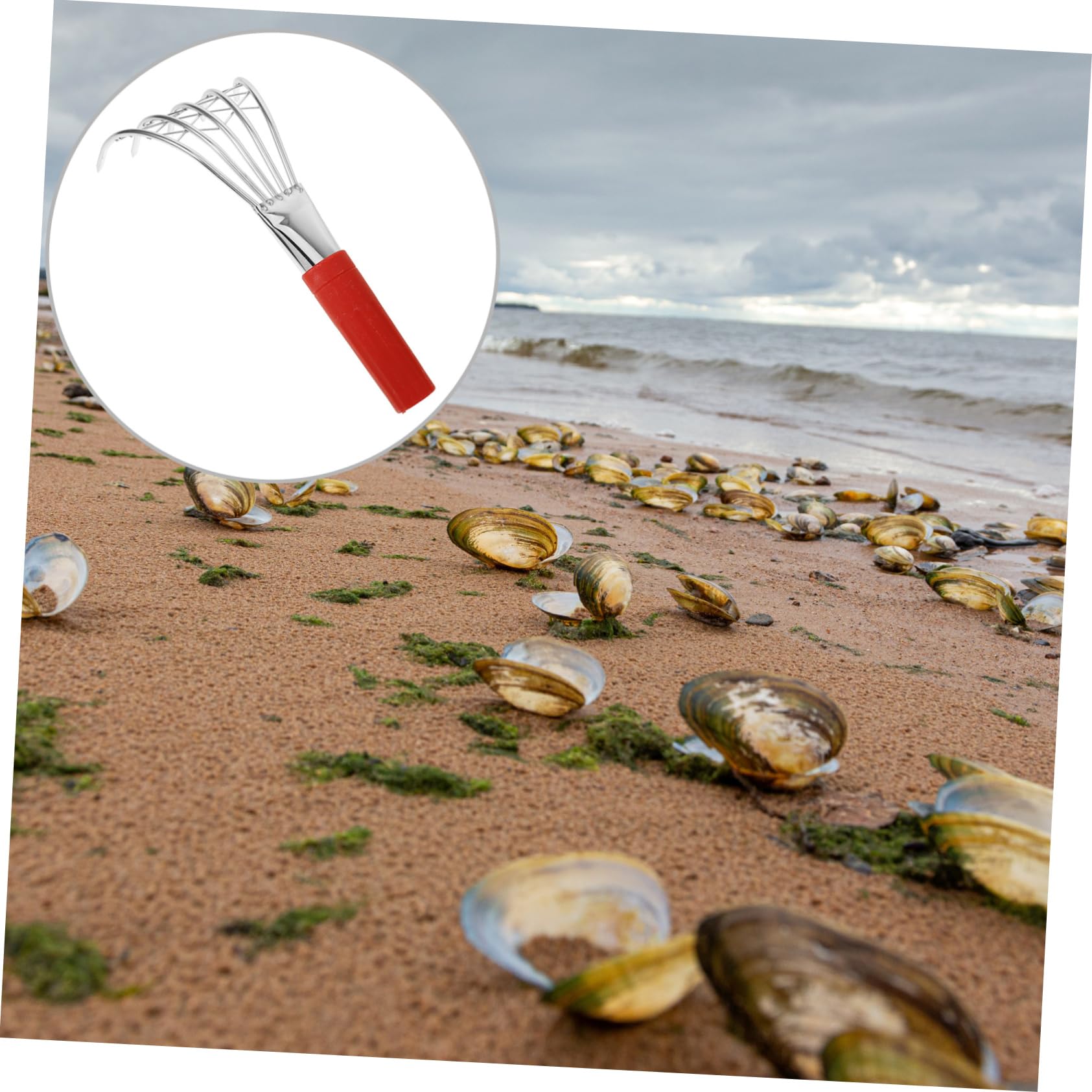 Toddmomy 4 Stück Kleiner Muschelrechen für Leichter Rutschfester Griff zum Muscheln und Am Strand Perfektes Werkzeug für Meeresfrüchte und Gartenarbeiten