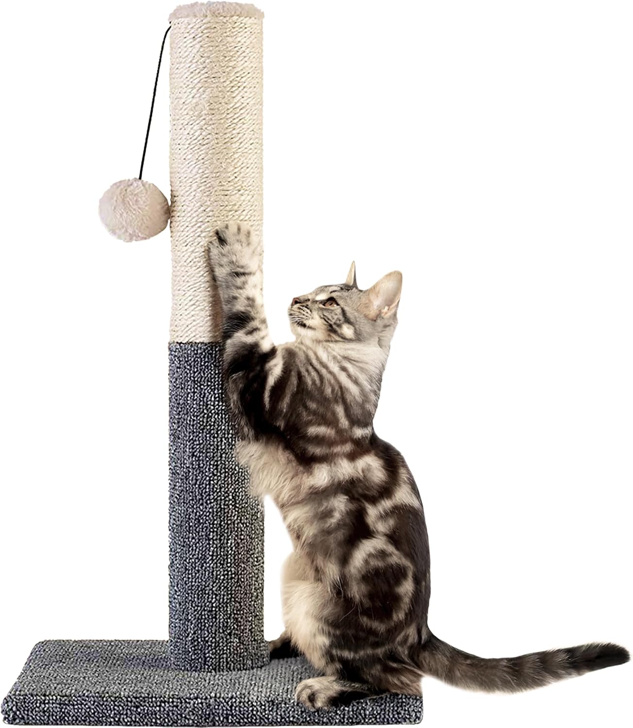 Pawbee 20" Cat Scratching Post with Hanging Ball, Modern Sisal Rope Pole, Scratcher Tower for Indoor Kitten