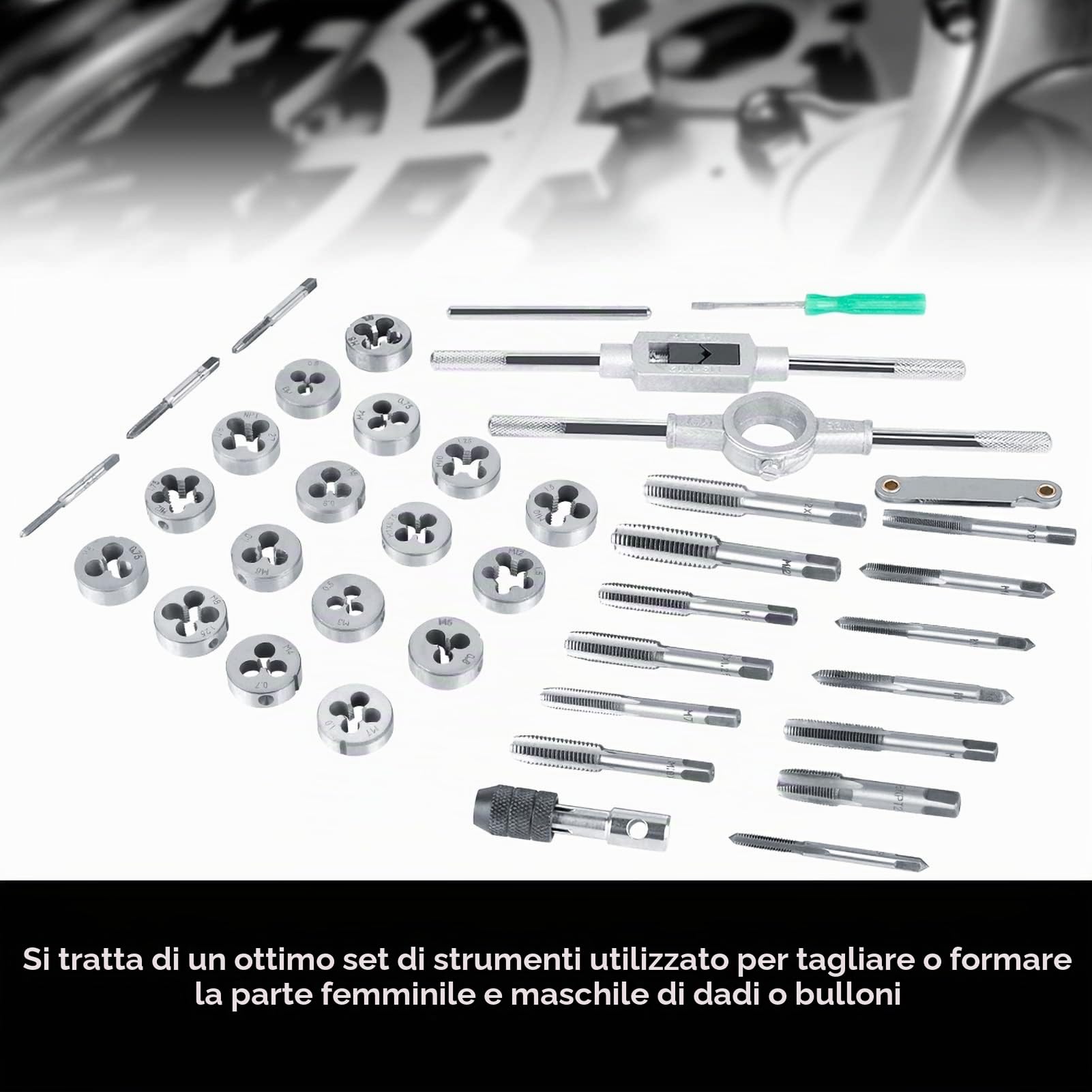 Set Maschi e Filiere 40 Pezzi M3-M12 in Acciaio con Custodia Portatile per Filettatura Maschi e Filiere Set