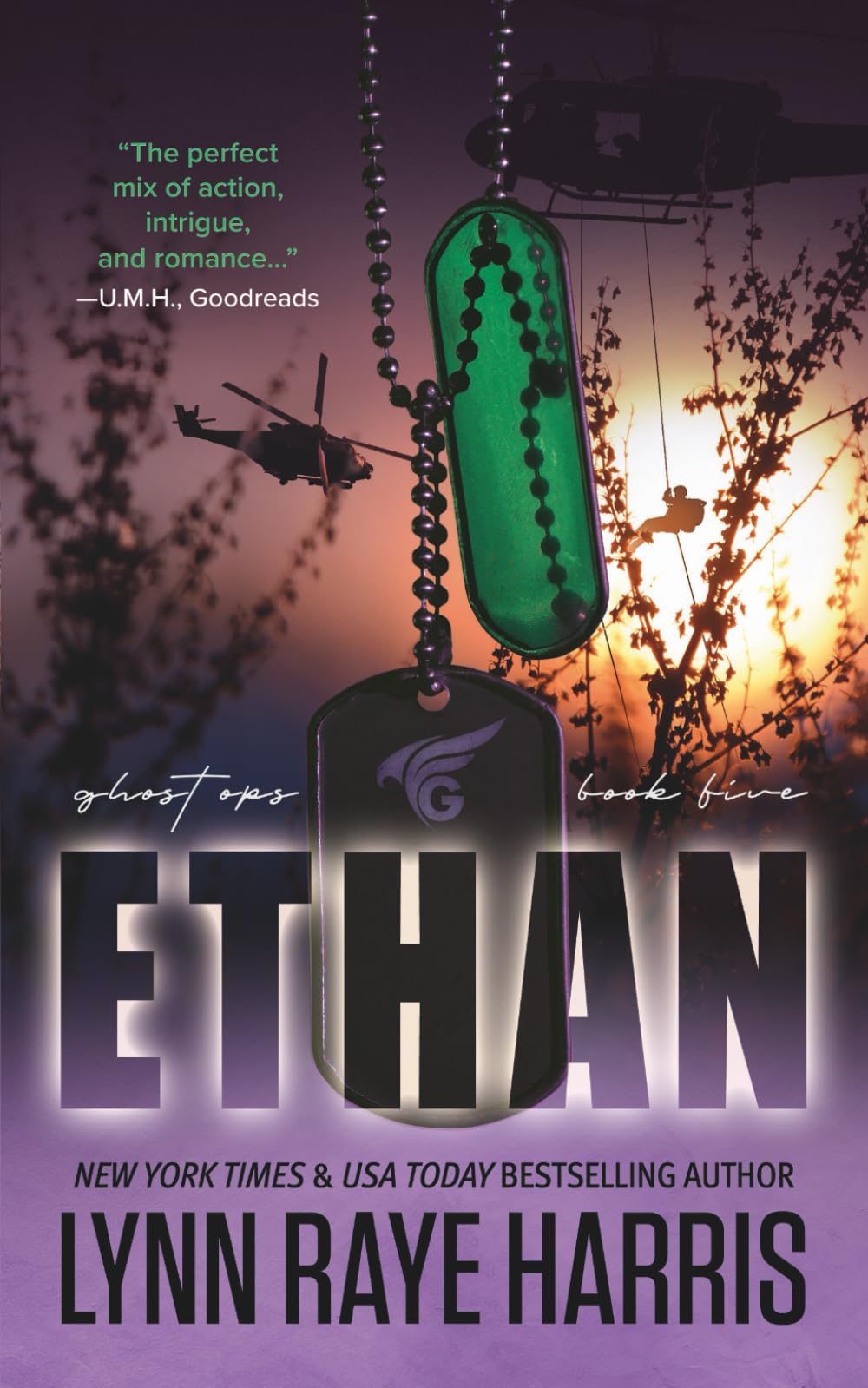 Ethan: A Small Town, Reunion, Military Protector Romance: A Small Town, Second Chance, Secret Baby, Protector Romance: 5 (Ghost Ops)