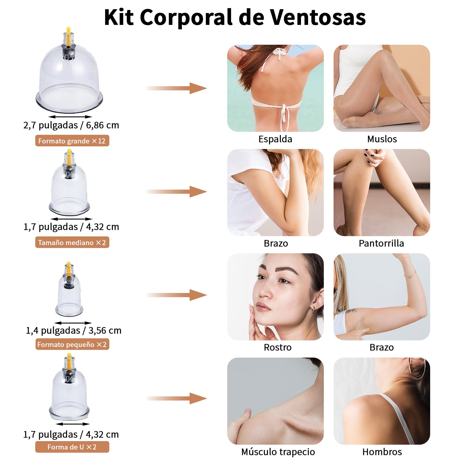 Set de 18 Ventosas para Fisioterapia，Ventosaterapia con Imanes Terapéuticos，Ventosas masaje: ideales para tratar la celulitis, mejorar la circulación sanguínea y aliviar dolores musculares
