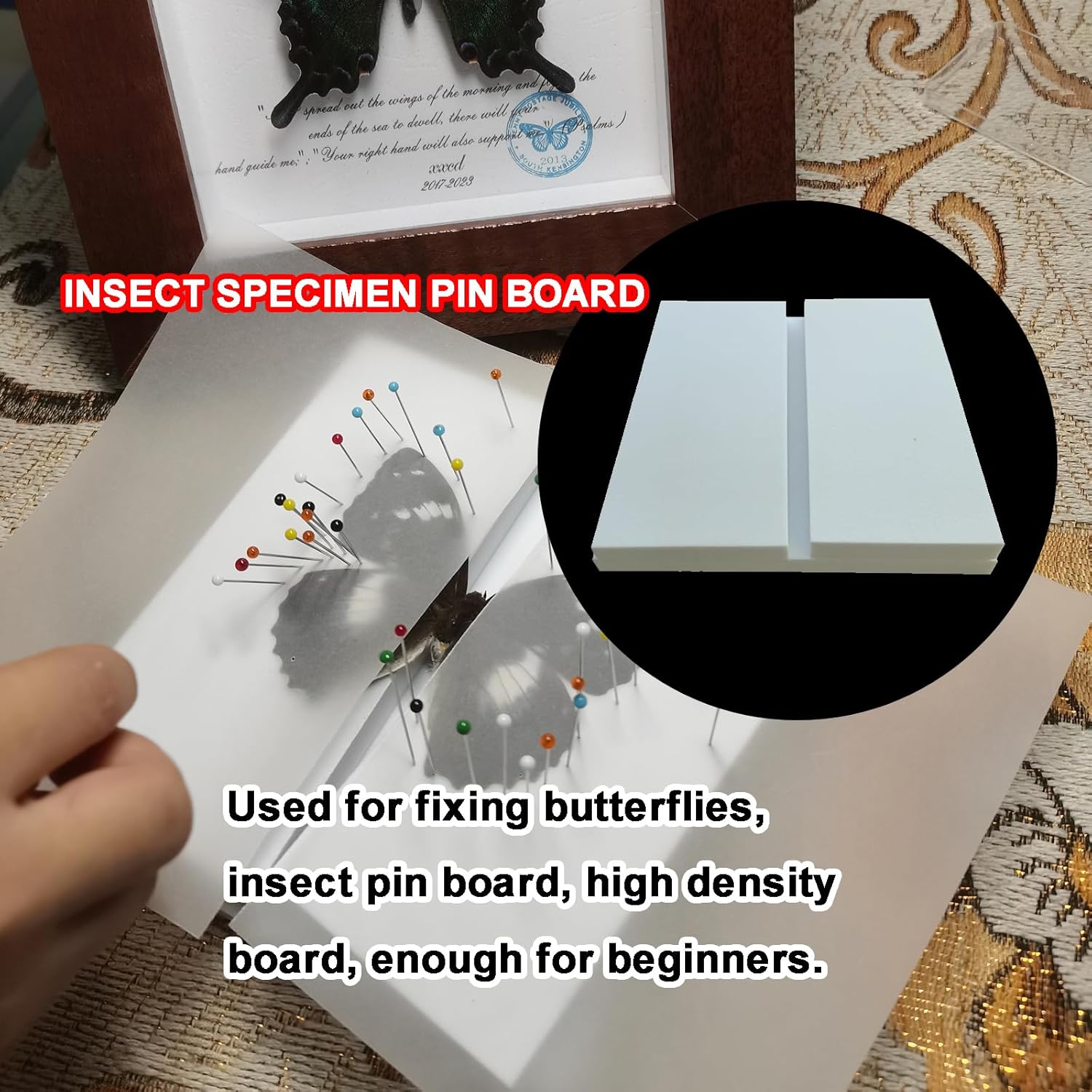 3 Pcs Insect Mounting & Spreading Kit - Adjustable EVA Foam Boards, Reversible Posing Tools for Butterflies & Insect Collections, Wide Spacing Design, Perfect for Bug Collectors to Preserve Specimens