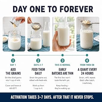 Cultures for Health Milk Kefir Grains | DIY Frothy Dairy Non-GMO Probiotic Drink for Stronger Gut Health | Limitless Heirloom Style Starter | Easy to Flavor or Add to Recipes | Bulgaros De Leche