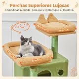 Ver la foto 5