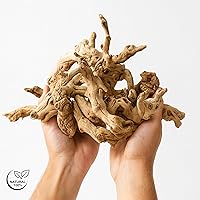 Vista 2 de Koyal Wholesale Decoración de relleno de jarrón de madera de pomelo natural, ramas de relleno de jarrón a granel de 2.2 libras para terrarios, kits