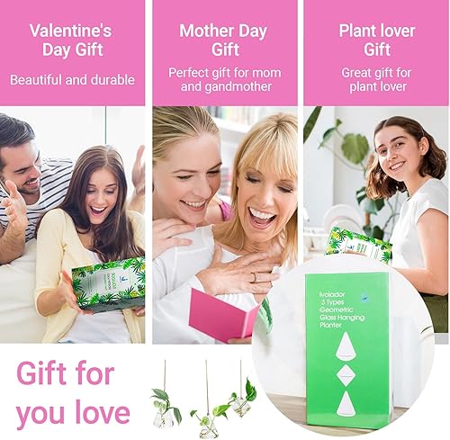 Miniatura 6 de Ivolador - Terrario de cristal colgante, maceta para plantas hidropónicas, decoración para el hogar