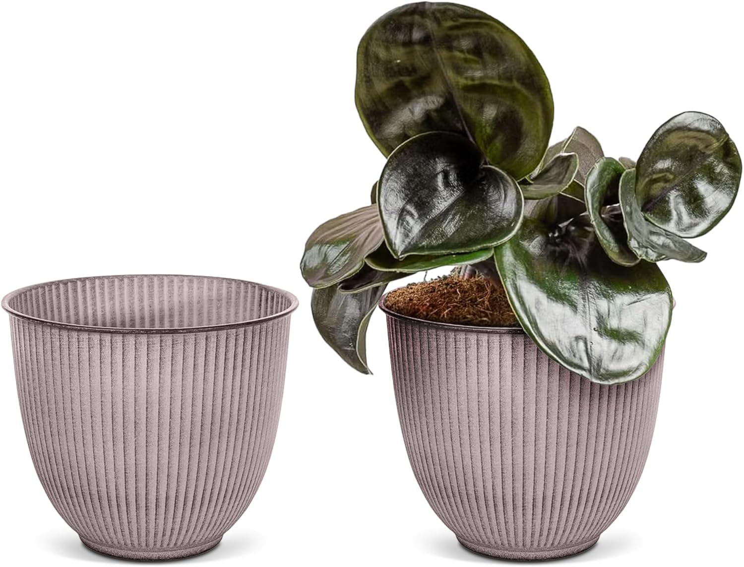 Headwind Robert Allen Natural Ironstone Decorative Planter, Archer Collection, Latte, 6-inch