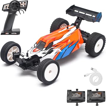 Serpent 124 Mini RC Car with Gyro, 1/24 Scale 2.4GHz Off-Road RC Car, All Terrain Off-Road Buggy RTR, High Performance with 2 Battery 1 USB Data Cable